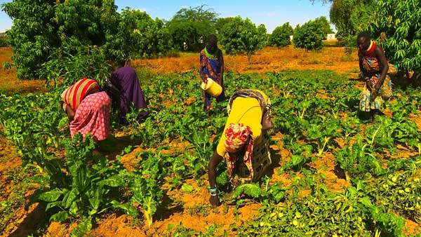 Kids Reading for All Foundation Unveils ‘Harvest to Educate’ Agriculture Drive in Bomi County