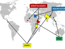 Experts Call for Species-Specific Livestock Research Centers Across Six Geopolitical Zones