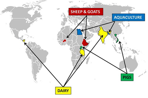 Experts Call for Species-Specific Livestock Research Centers Across Six Geopolitical Zones