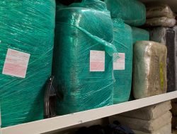 Narcotics Blamed for Suicides, Accidents, and Cybercrime: Home Minister