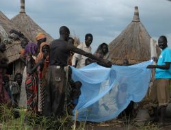 Will Funding Keep Pace with Need? Africa’s Malaria Vaccine Initiative Faces Critical Juncture Will Funding Keep Pace with Need? Africa’s Malaria Vaccine Initiative Faces Critical Juncture