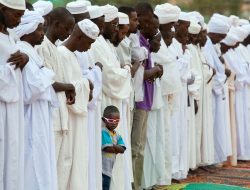 Sallah Dilemma: Muslims Navigate Rising Ram Prices