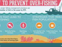 Editorial: Safeguarding Our Shrinking Fish Populations