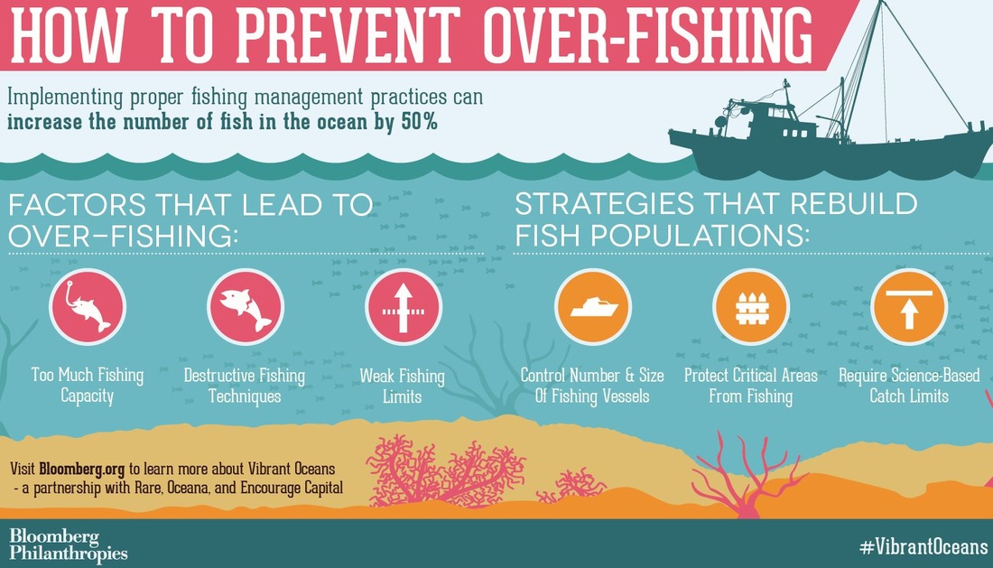 Editorial: Safeguarding Our Shrinking Fish Populations