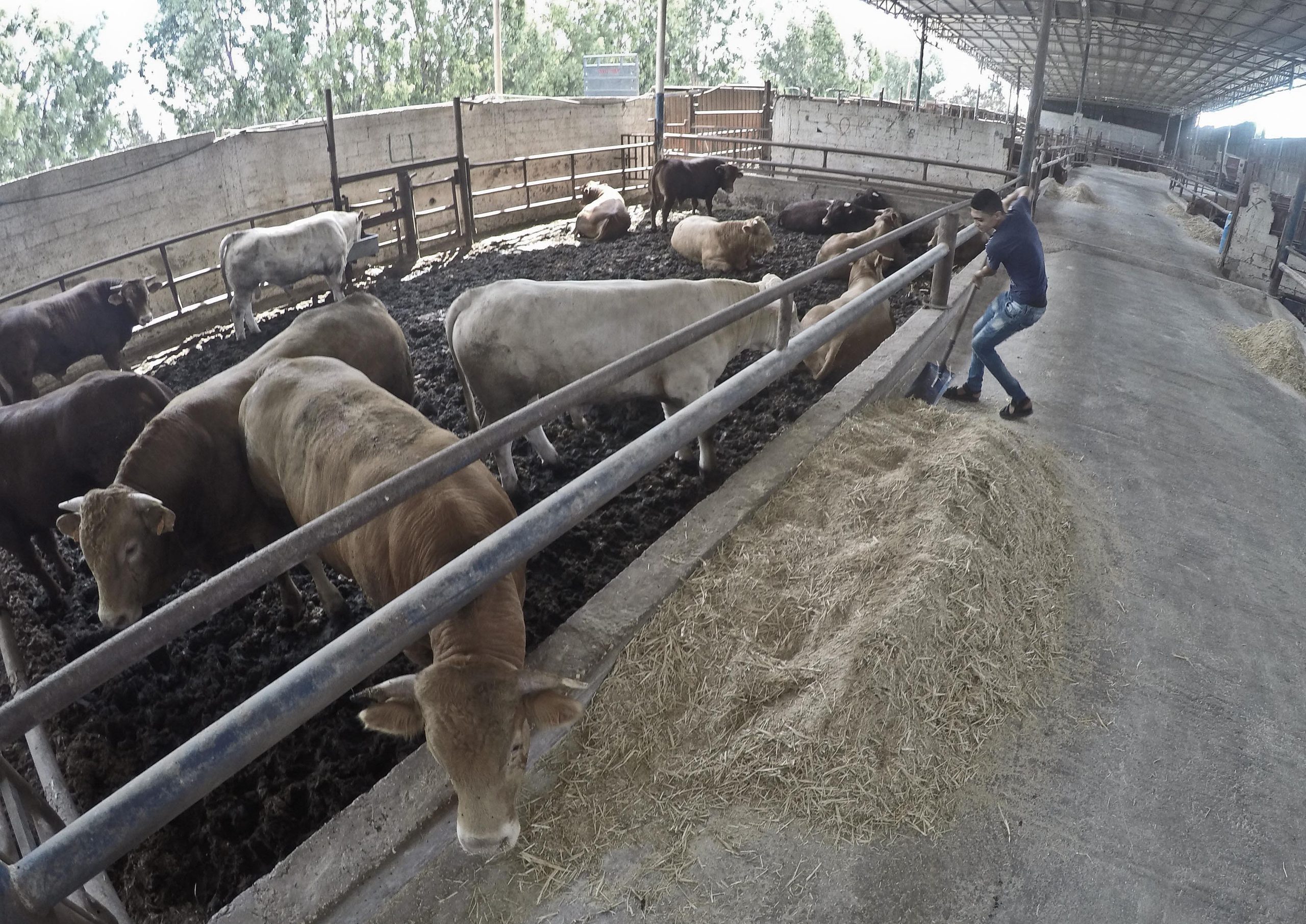 764,000 Qurbani Rawhides Safely Preserved in Chattogram Division
