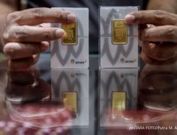 Turun Rp 17.000 per Gram, Ini Harga Emas Antam Logam Mulia Hari Ini Jumat, 27/6 Turun Rp 17.000 per Gram, Ini Harga Emas Antam Logam Mulia Hari Ini Jumat, 27/6