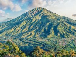 Dugaan Pengambilalihan Area Berkemah, Taman Nasional Gunung Merbabu Bicara Apa? Dugaan Pengambilalihan Area Berkemah, Taman Nasional Gunung Merbabu Bicara Apa?