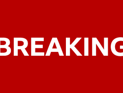 Labour Triumphs in Hamilton: Wins Hamilton, Larkhall, and Stonehouse By-Election