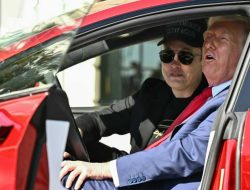 Tesla Sales Slump in Europe Amid May EV Rebound Tesla Sales Slump in Europe Amid May EV Rebound