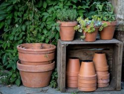 Choose The Right Type of Planter for Your Plant Choose The Right Type of Planter for Your Plant