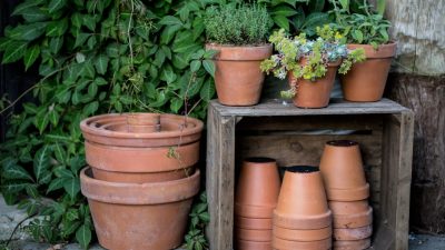 Choose The Right Type of Planter for Your Plant