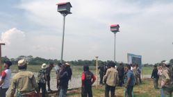 Pasang CCTV untuk Awasi Aktivitas Burung Hantu di Rubuha
