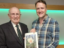 Daffodil Revival: Inspired by BBC’s Gardening Magic Daffodil Revival: Inspired by BBC’s Gardening Magic