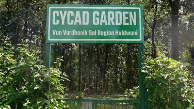 Uttarakhand’s First Cycad Garden Blossoms in Haldwani