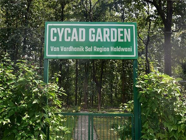 Uttarakhand’s First Cycad Garden Blossoms in Haldwani