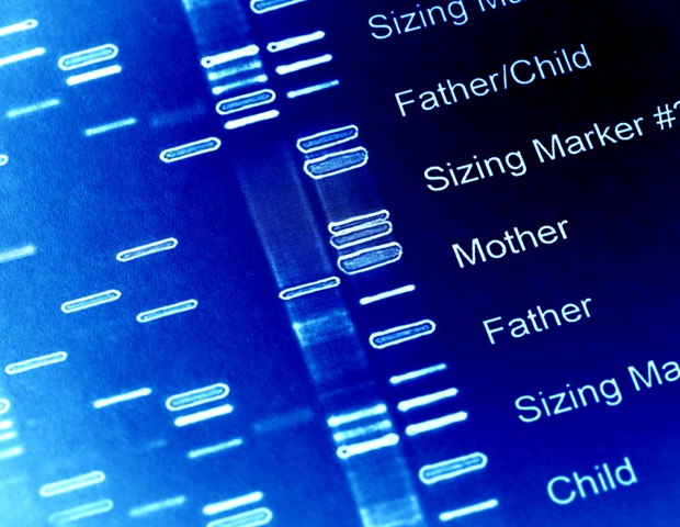 Unveiling the Genetic Dimmer Switch That Controls Embryonic Development