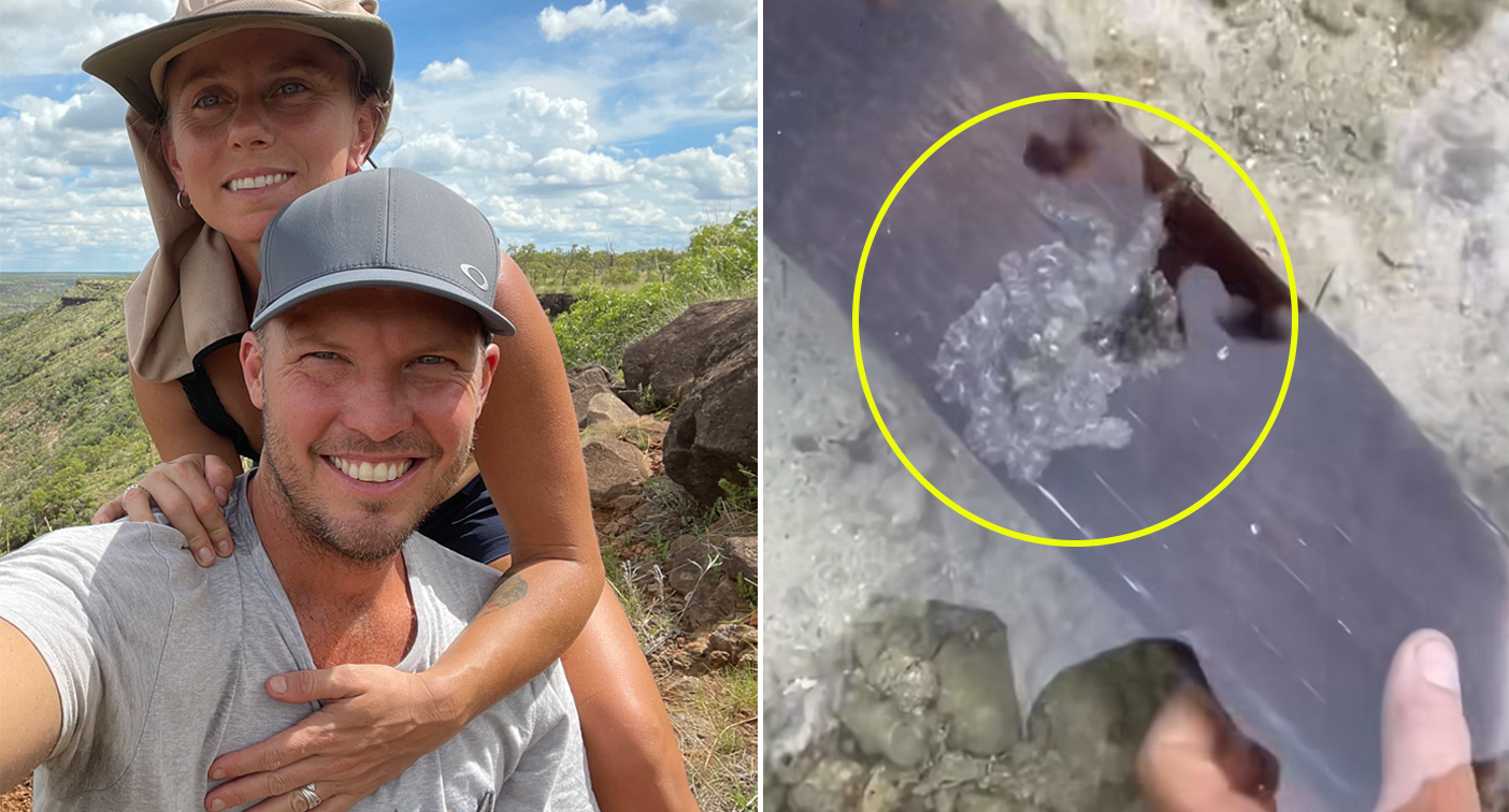 Wandering Nomads Spot Rare Creature in Shallow Waters: A Fascinating Encounter