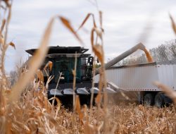 Rep. Alford: Farmer Loan Program Accused of Reverse Discrimination