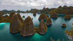 Trend Topik #SaveRajaAmpat Sorot Global! Lestarikan Permata Papua, Harta Karun Dunia dari Kekerasan Tambang Trend Topik #SaveRajaAmpat Sorot Global! Lestarikan Permata Papua, Harta Karun Dunia dari Kekerasan Tambang