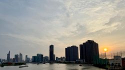 Vietnam Emerges as Medical Leader with Groundbreaking Fetal Heart Surgery