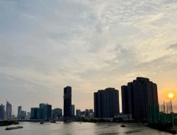 Vietnam Emerges as Medical Leader with Groundbreaking Fetal Heart Surgery Vietnam Emerges as Medical Leader with Groundbreaking Fetal Heart Surgery