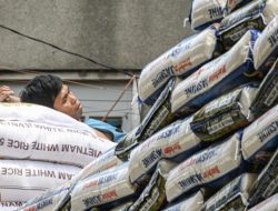 Philippines Cuts Rice Imports by Almost 21%: International Edition