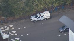 Man treated for neck wound after stabbing at Sydney shopping centre