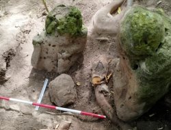 Ancient City Unveiled: Hidden Gem Dates Back 3,000 Years