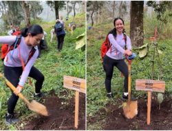9 Gambar Mempesona Yura Yunita Menanam Pohon di Gunung Merbabu 9 Gambar Mempesona Yura Yunita Menanam Pohon di Gunung Merbabu