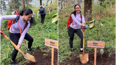9 Gambar Mempesona Yura Yunita Menanam Pohon di Gunung Merbabu