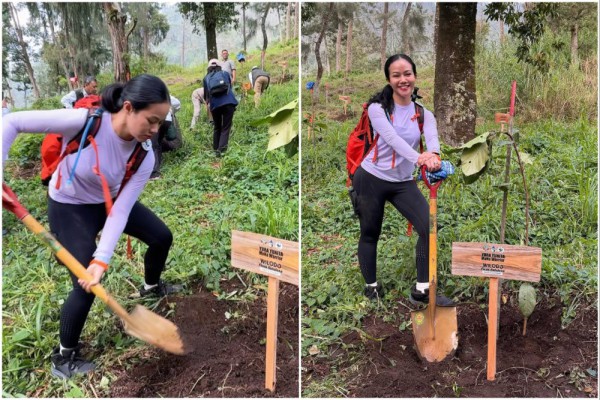 9 Gambar Mempesona Yura Yunita Menanam Pohon di Gunung Merbabu