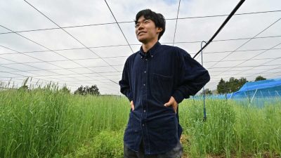 “Forward March”: Gen-Z Farmer Cultivates Kiwi Revival in Fukushima