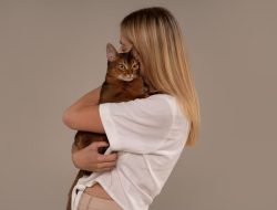 Study Reveals: Owning Cats Increases Toxoplasmosis Risk for Pregnant Women