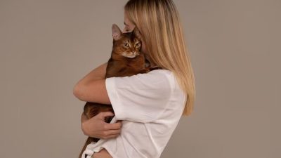 Study Reveals: Owning Cats Increases Toxoplasmosis Risk for Pregnant Women
