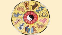 4 Shio Beruntung Musim ini: Monyet Paling Dirahmati, Siapa Lagi?