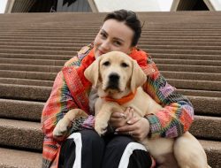 Molly’s Eye-Opening Plea: How the Beauty Industry Must Adapt After Her Vision Loss at 14