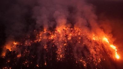 Kebakaran Hutan Melonjak 2024: Dua Kali Lebih Banyak Hutan Tropis Hilang