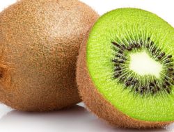 5 Khasiat Buah Kiwi untuk Kesehatan Jantung dan Imun yang Lebih Kuat 5 Khasiat Buah Kiwi untuk Kesehatan Jantung dan Imun yang Lebih Kuat