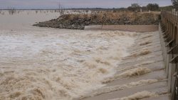 Surge in Water Levels at Menindee Lakes Boosts Tourism and Birdwatching