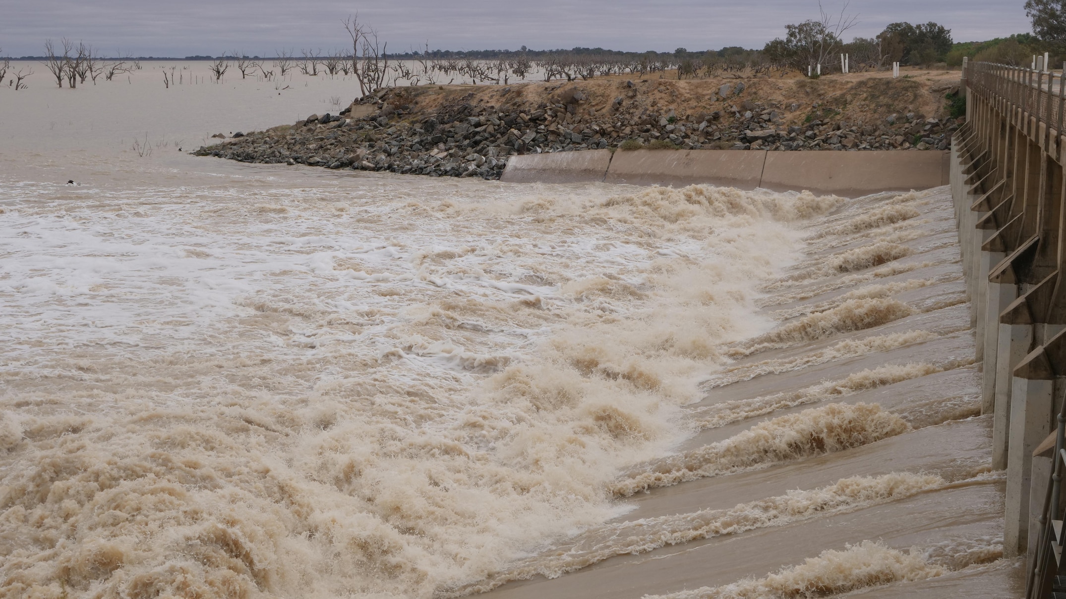 Surge in Water Levels at Menindee Lakes Boosts Tourism and Birdwatching