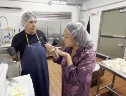 Art and Science Collide: Honolulu’s Mozzarella Factory Unveils the Magic of Cheesemaking
