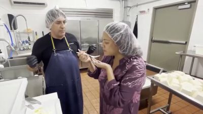Art and Science Collide: Honolulu’s Mozzarella Factory Unveils the Magic of Cheesemaking