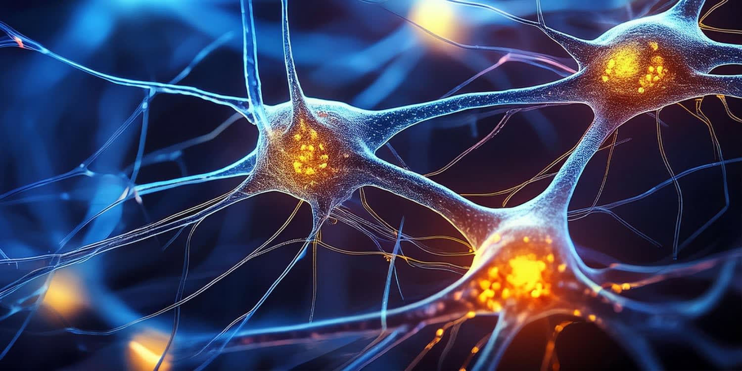 Neuroscience Shocks: 7 Recent Studies Reveal the Surprising Secrets of Memory