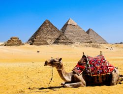 Rising Giants: New Megacity Emerges Beside Giza’s Legendary Pyramids Rising Giants: New Megacity Emerges Beside Giza’s Legendary Pyramids