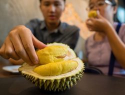 Chinese Tourist Fined 5 by Singapore Hotel for Bringing In Durian