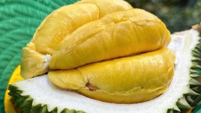 Vietnam Ships First Frozen Durian Batch to China
