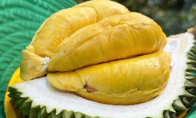 Vietnam Ships First Frozen Durian Batch to China