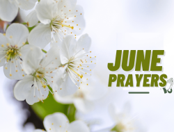 50 Powerful Prayers to Bless Your New June Journey 50 Powerful Prayers to Bless Your New June Journey