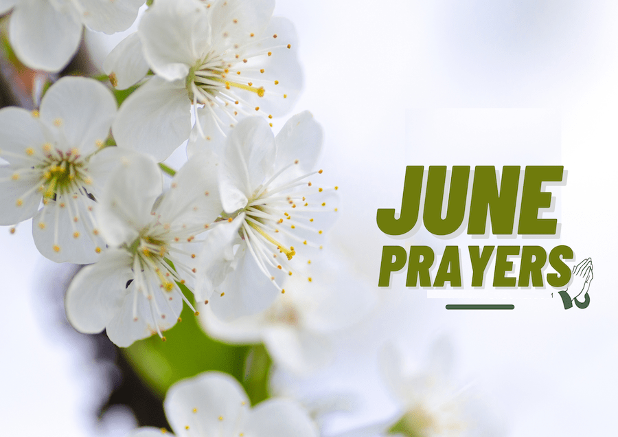50 Powerful Prayers to Bless Your New June Journey