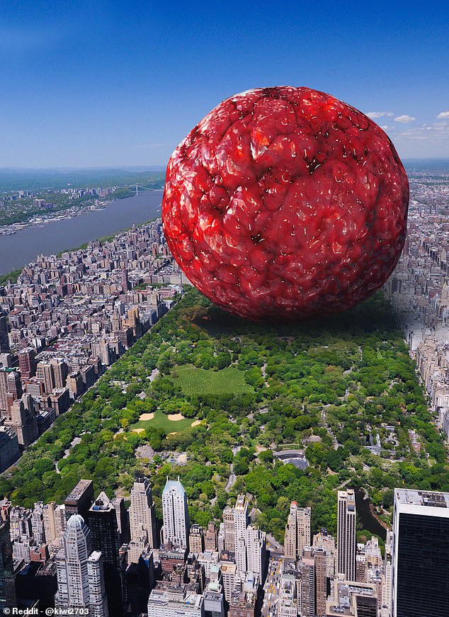Scientist Unveils Surprisingly Small Meatball Made From Entire Human Race